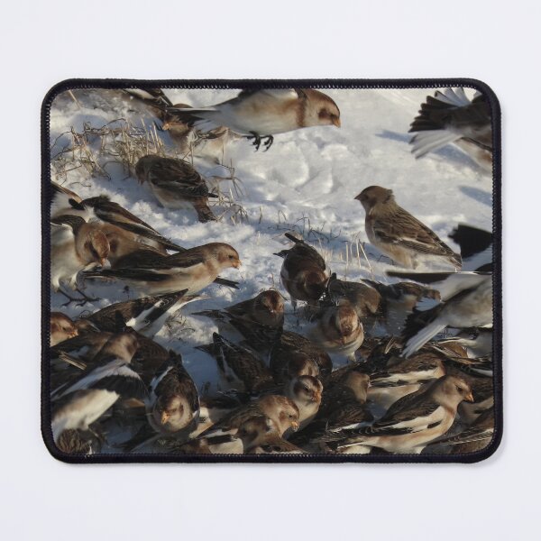 Item preview, Snow bunting winter fest 5 designed and sold by Vidarleikur.