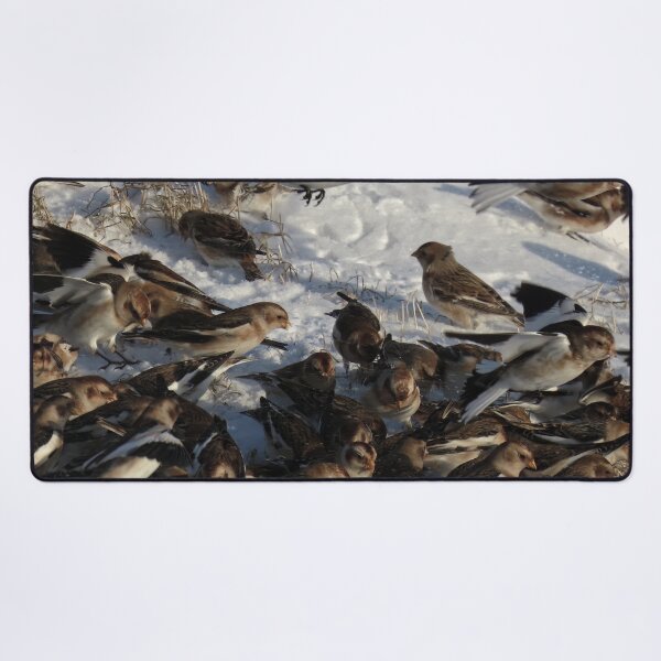Item preview, Snow bunting winter fest 5 designed and sold by Vidarleikur.