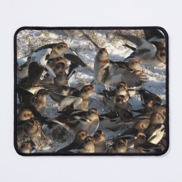 Item preview, Snow bunting winter fest 6 designed and sold by Vidarleikur.