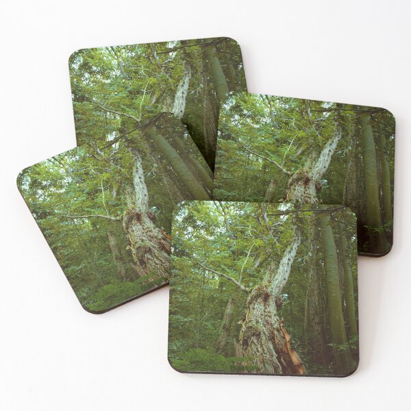 Item preview, Tree in a forest designed and sold by Enquedou.