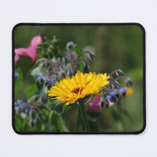 Item preview, Calendula  designed and sold by jojobob.