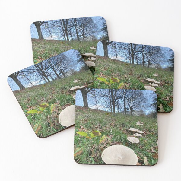 Item preview, Flat Mushrooms designed and sold by Paddyb17.
