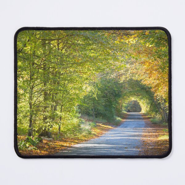 Item preview, Sun lit country road designed and sold by AnitaNicholson.