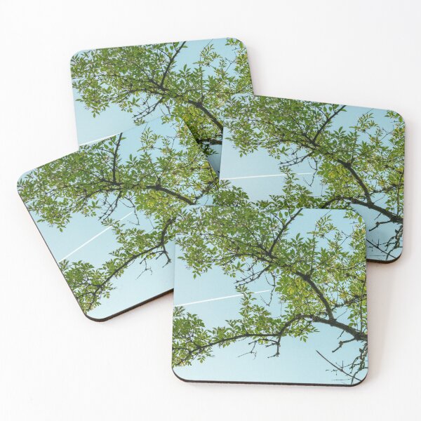 Item preview, Airplane contrail over a tree designed and sold by Enquedou.