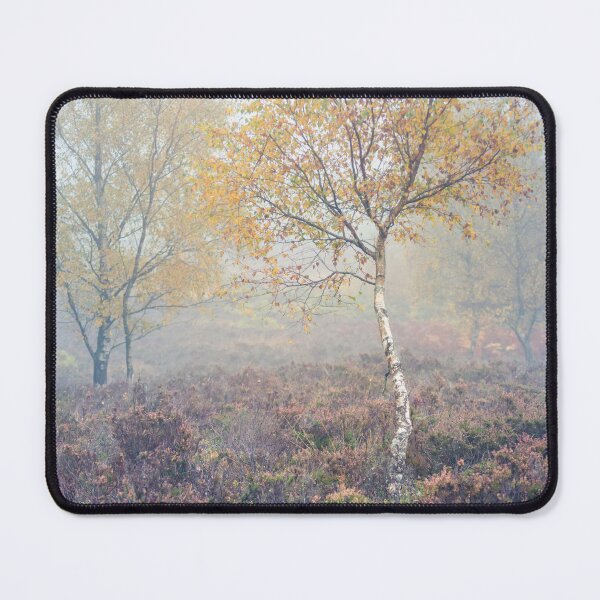 Item preview, Birch tree in the mist, Autumn designed and sold by AnitaNicholson.