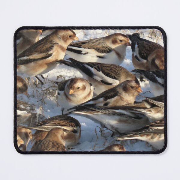 Item preview, Snow bunting winter fest 8 designed and sold by Vidarleikur.