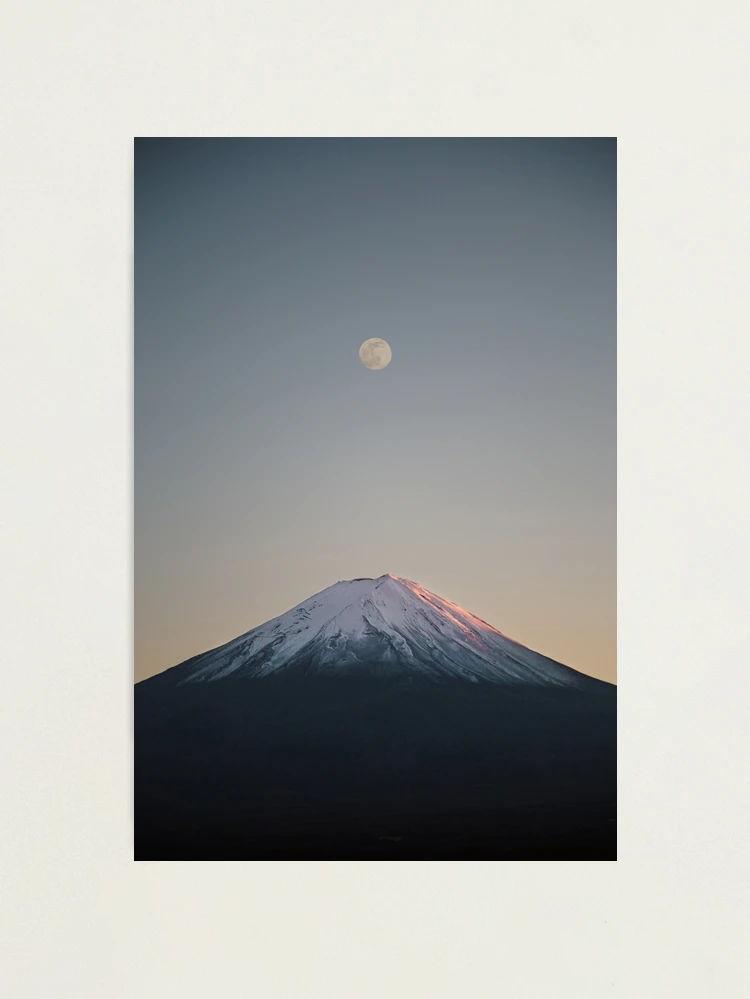 fpp,medium,lustre,wall_texture