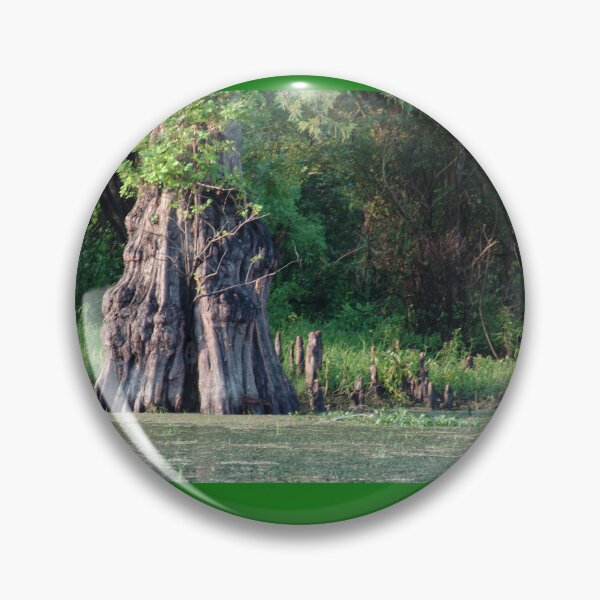 Item preview, Old Growth Cyprus in Henderson Swamp, Louisiana designed and sold by Bleknervin.