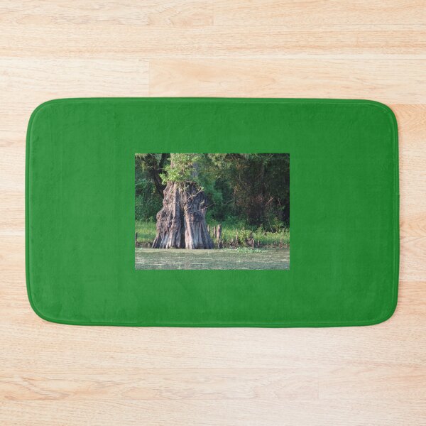 Item preview, Old Growth Cyprus in Henderson Swamp, Louisiana designed and sold by Bleknervin.