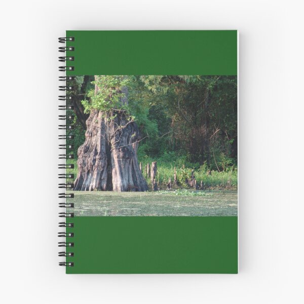 Item preview, Old Growth Cyprus in Henderson Swamp, Louisiana designed and sold by Bleknervin.