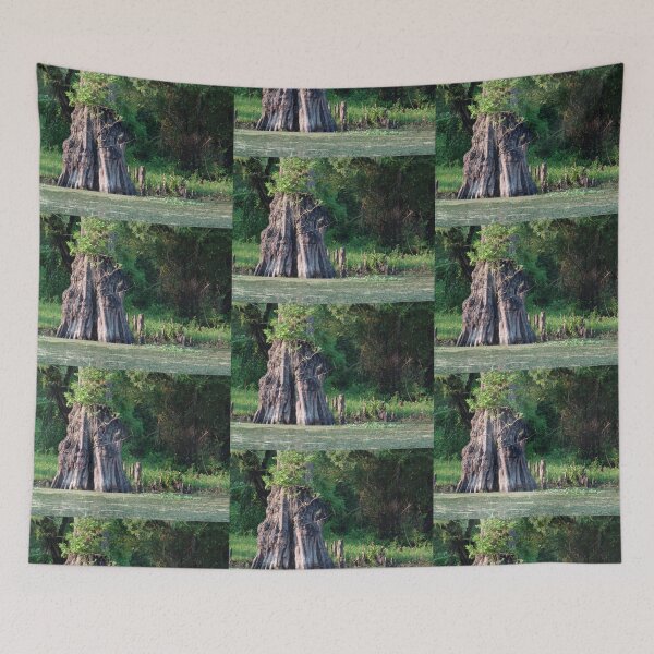 Item preview, Old Growth Cyprus in Henderson Swamp, Louisiana designed and sold by Bleknervin.
