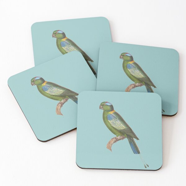 Aperçu de l'œuvre Perroquet vert illustration vintage créée et vendue par BirbFriends.