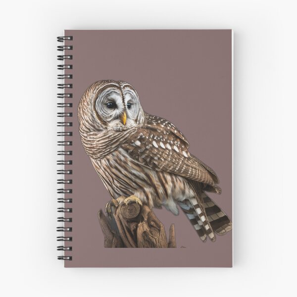 Item preview, Barred Owl Portrait  designed and sold by PharaohofSedona.