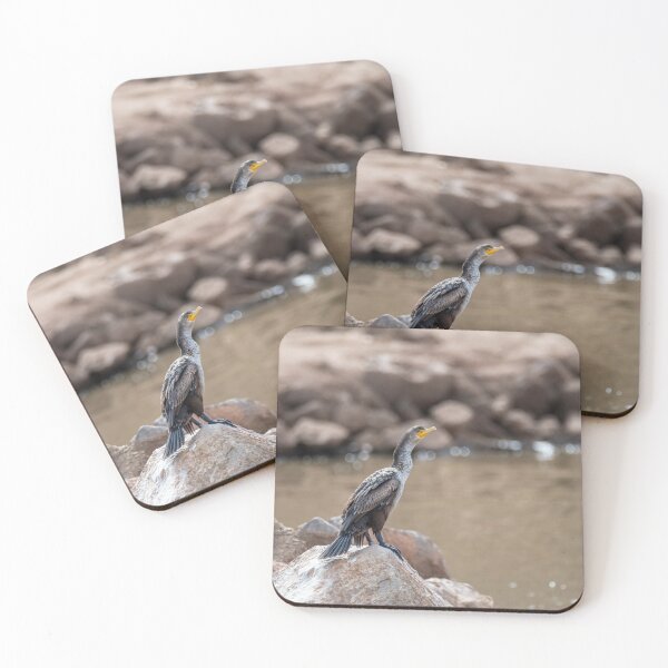 Item preview, Cormorant  On The Rocks  designed and sold by Debra Martz.