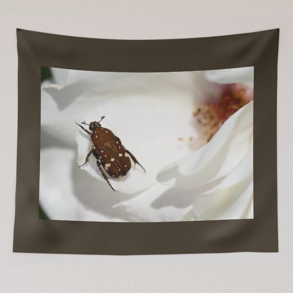 Item preview, Brown Flower Beetle designed and sold by imaginethis.