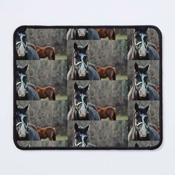 Item preview, Caballo designed and sold by ZombieOverLoad.