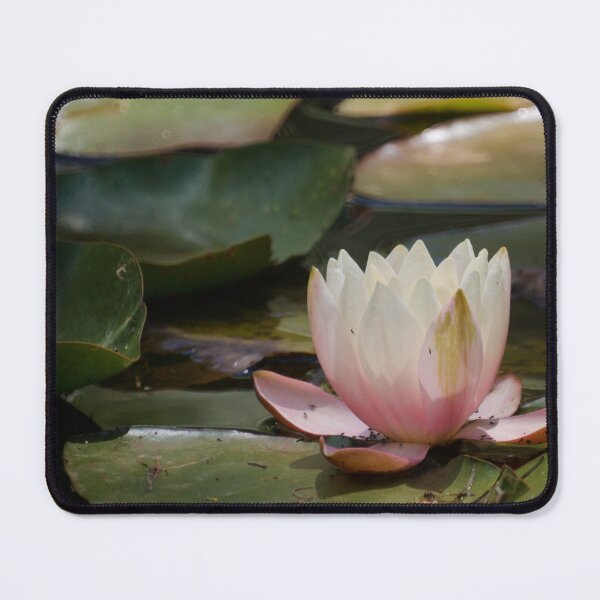 Item preview, The Lily designed and sold by D-GaP.