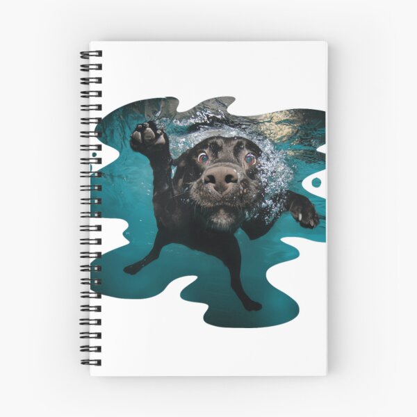 Item preview, Underwater Dogs Duch by Seth Casteel designed and sold by mrtrvierar.