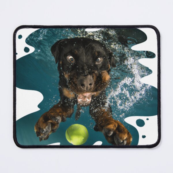 Item preview, Underwater Dogs Milo by Seth Casteel designed and sold by mrtrvierar.
