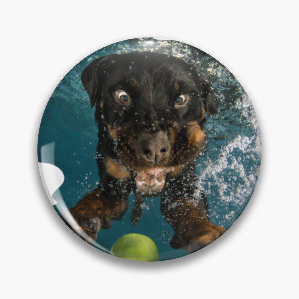 Item preview, Underwater Dogs Milo by Seth Casteel designed and sold by mrtrvierar.