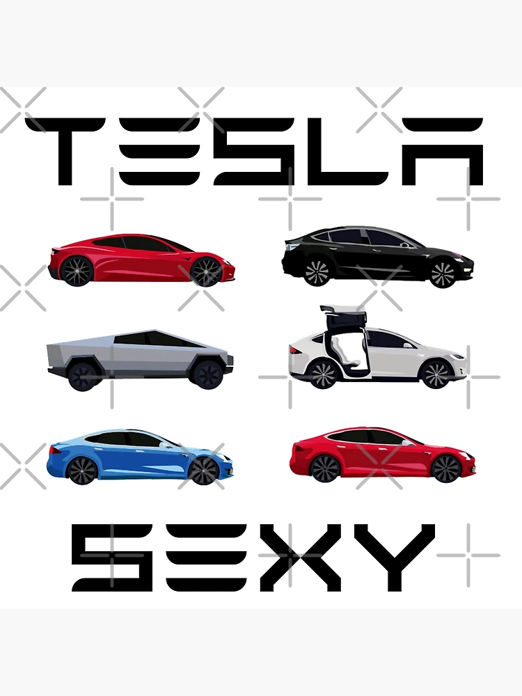 Tesla model s3xy discount