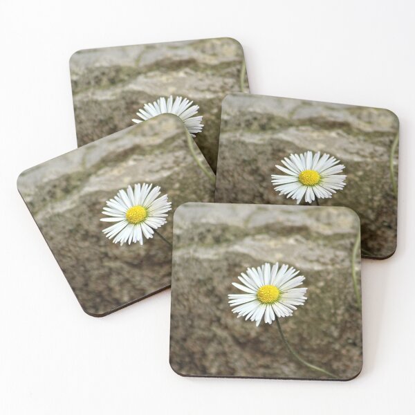 Item preview, Single Daisy Flower Blooming on Stone designed and sold by Anna Lemos.