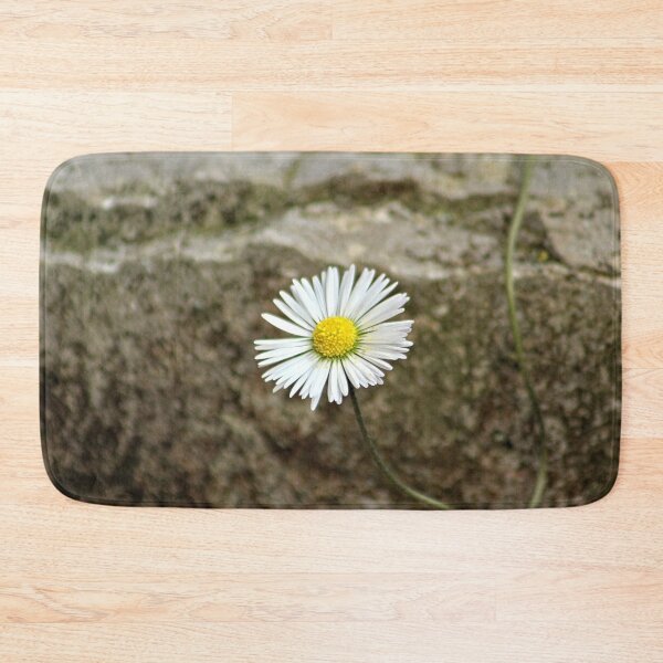 Item preview, Single Daisy Flower Blooming on Stone designed and sold by Anna Lemos.