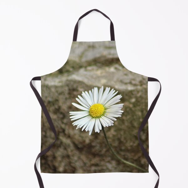 Item preview, Single Daisy Flower Blooming on Stone designed and sold by Anna Lemos.