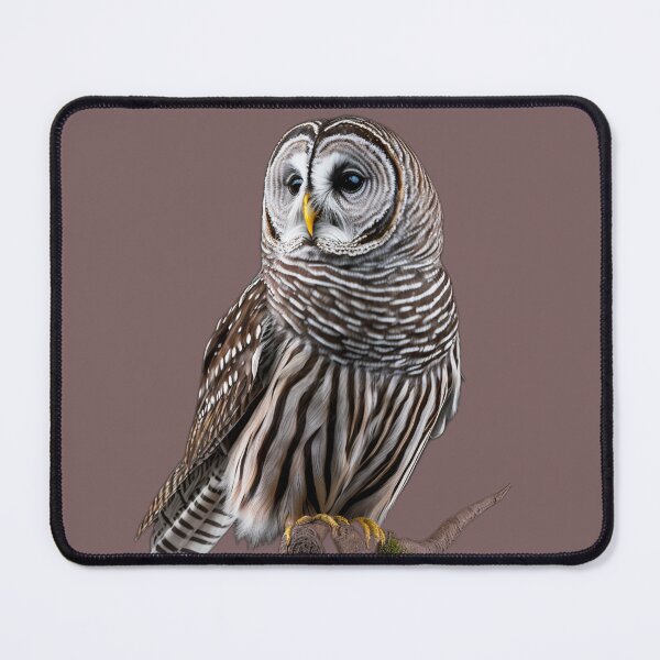 Item preview, Barred Owl designed and sold by PharaohofSedona.