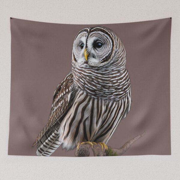 Item preview, Barred Owl designed and sold by PharaohofSedona.