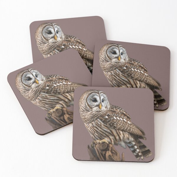 Item preview, Barred Owl Portrait  designed and sold by PharaohofSedona.
