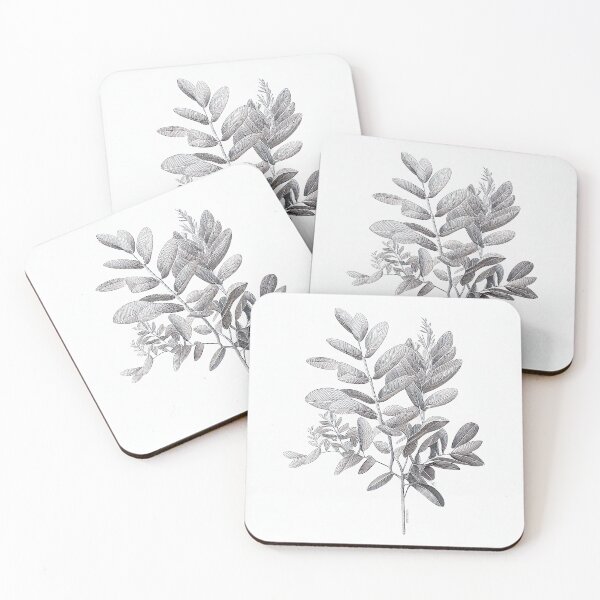 Item preview, Black And White ZZ Plant Drawing Illustration designed and sold by unrealartwork.