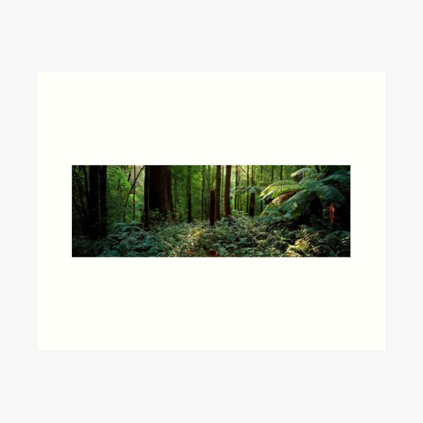Item preview, Dense Rainforest near the Black Spur, Healesville Panorama designed and sold by Colin Dixon.