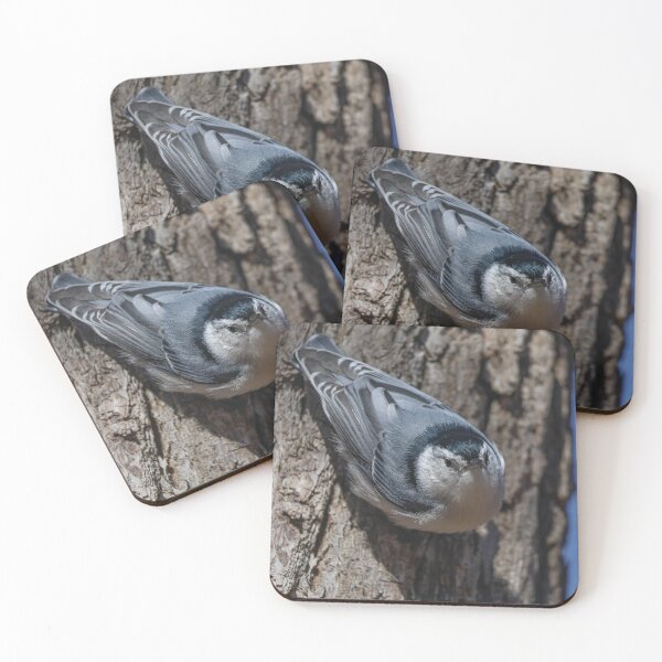 Item preview, White Breasted Nuthatch in Michigan designed and sold by OneCreativePup.