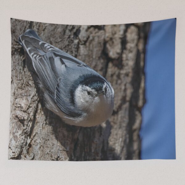 Item preview, White Breasted Nuthatch in Michigan designed and sold by OneCreativePup.