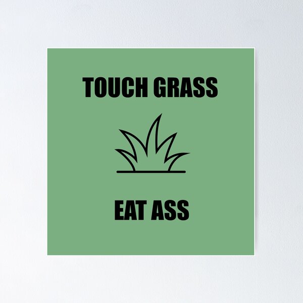 Funny Meme Gift Touch Grass Poster for Sale by kmcollectible