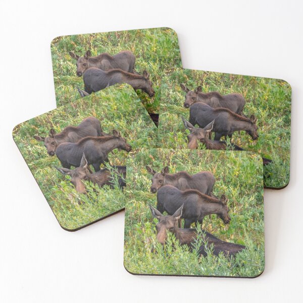 Item preview, Cow Moose And Her Calves designed and sold by Richard Montag.