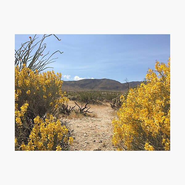 Item preview, Anza Borrego Super Bloom designed and sold by Janice Kubo.