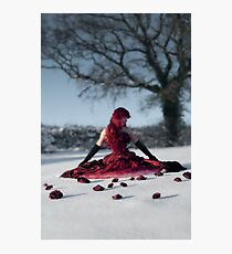 Snow Ball Photographic Print