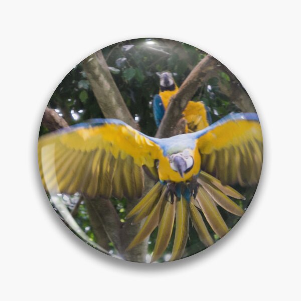 Item preview, Belleza altísima: el majestuoso vuelo del guacamayo designed and sold by Warren Morgan.