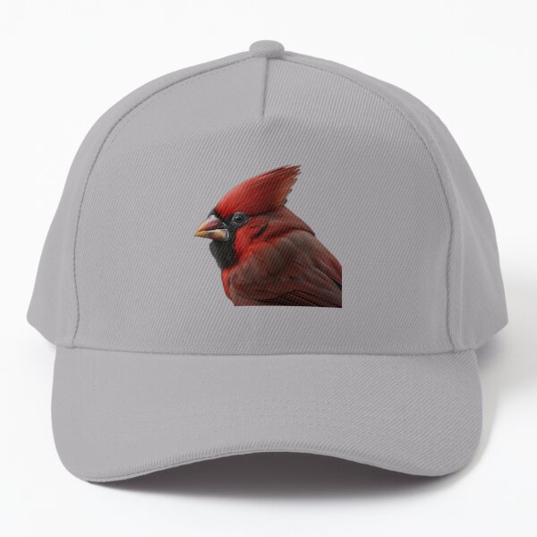 louisville cardinals skull cap