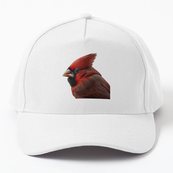 louisville cardinals skull cap