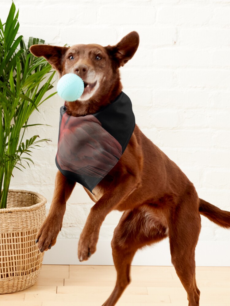 Beautiful Cardinal Portrait Pet Bandana for Sale by