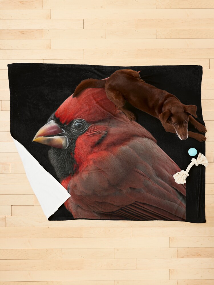 NCAA Louisville Cardinals Micro Fleece Throw Blanket