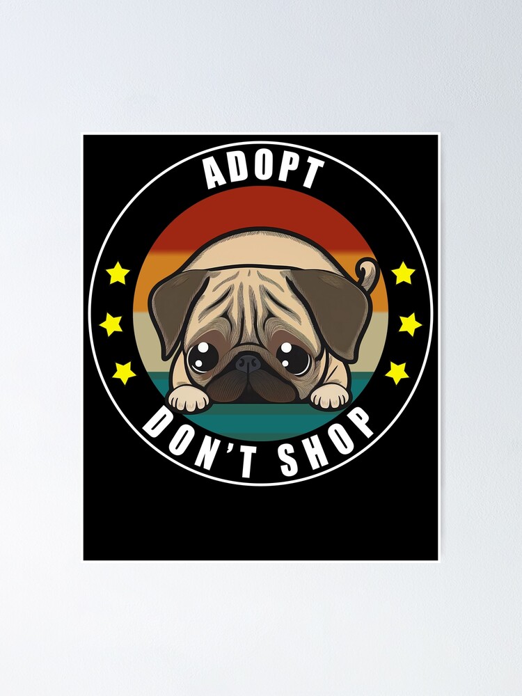 Adoptable Dogs Pug And Small Breed Rescue Pug And Small Dog Rescue