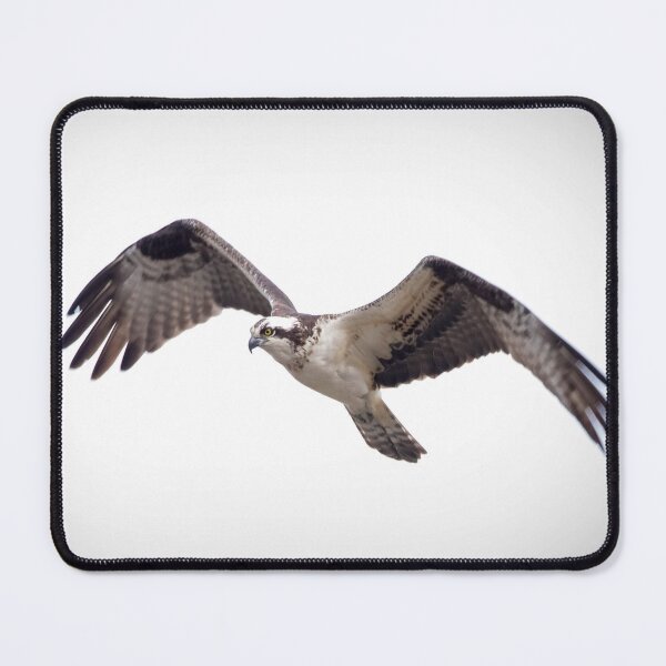 Item preview, Osprey designed and sold by kimberliedewey.