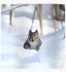 Is winter over yet? Poster