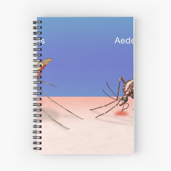 Item preview, Two Types of Mosquitoes, Malaria and Dengue Fever designed and sold by ScienceSource.