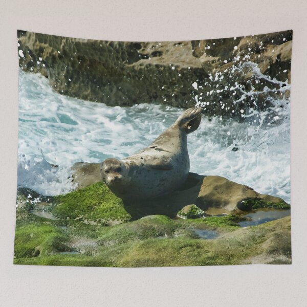 Item preview, La Jolla California Surprised Seal  designed and sold by Georgia Mizuleva.