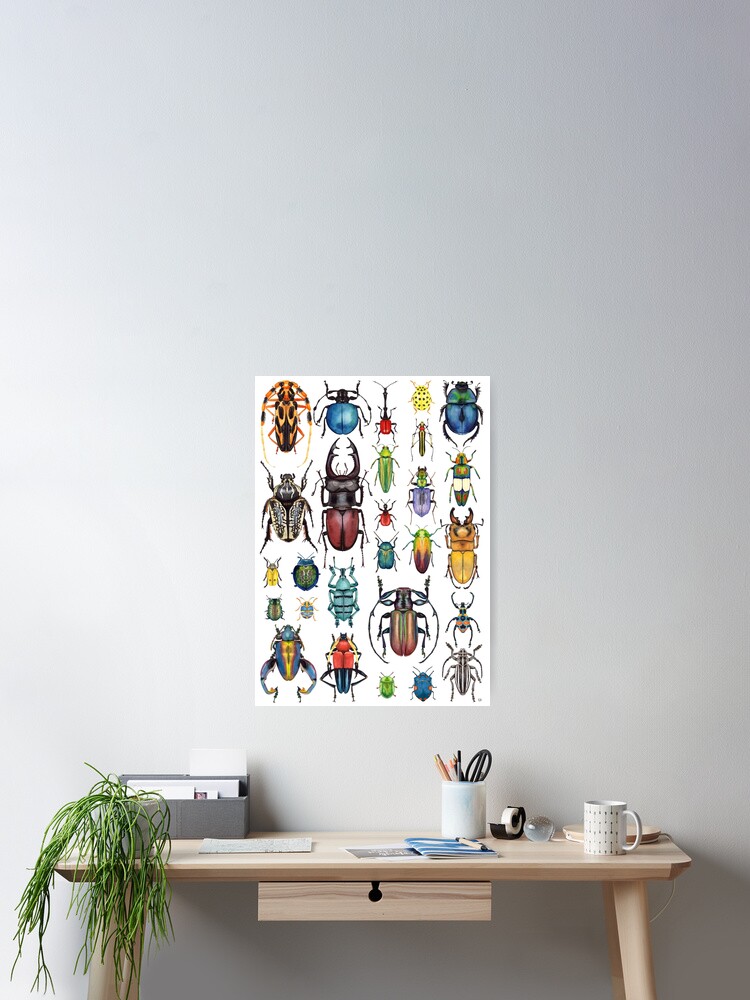 Thumbnail 1 of 3, Poster, Beetle Collection designed and sold by Kelly King.